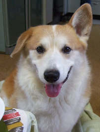 20060801R.jpg