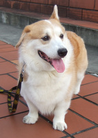 2006RYU.jpg