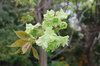 20170417gyoiko2.jpg