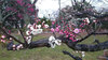 20180308kohaku3.jpg