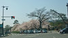 20180331hatijogaike.jpg