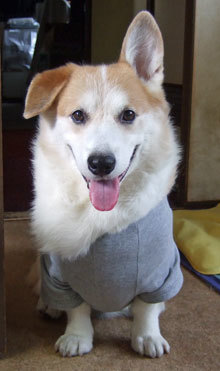 20180401ryu.jpg