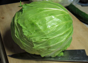 20180527cabbage.jpg
