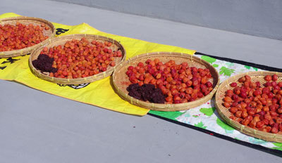 20180804umebosi.jpg