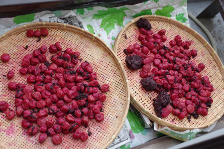 20180831umebosi.jpg