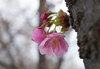 20190322yoko.jpg