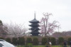 20190330toji.jpg