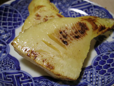 20190407takenoko.jpg
