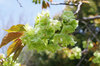 20190418gyoiko.jpg