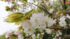 20190425narayae2.jpg