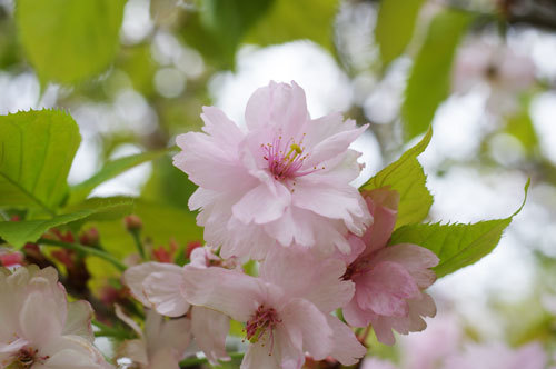 20190428narayae.jpg