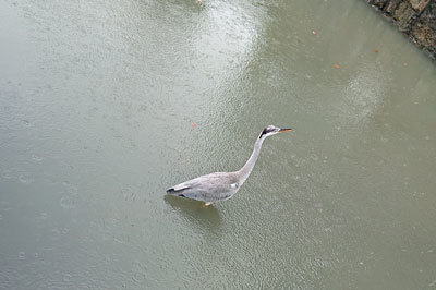 20191012sagi.jpg