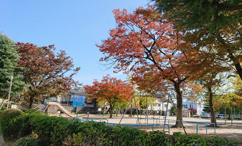 20191110biwakoen.jpg