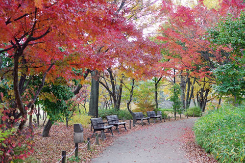 20191205park.jpg
