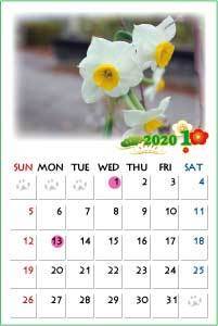 202001.jpg