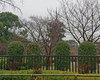 20200123toji.jpg
