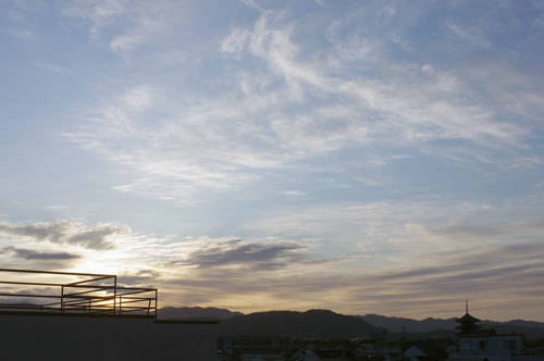 20200303hinode.jpg