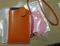 20200428Xperiacase1.jpg
