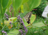 20200909tyo2.jpg