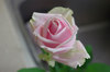 20201029birthdayrose2.jpg