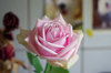 20201104rose.jpg