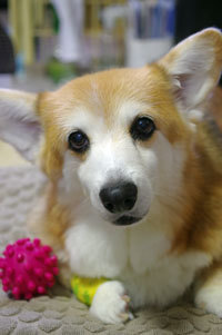 20201118UNO1.jpg