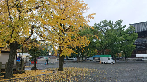 20201121toji.jpg