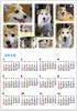 2020calendar.jpg