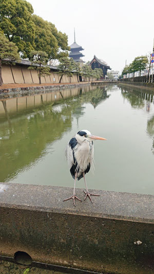 20210113toji.jpg