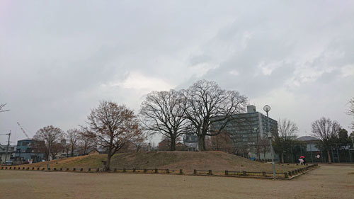 20210116park.jpg