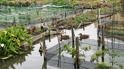 20210218bird.jpg