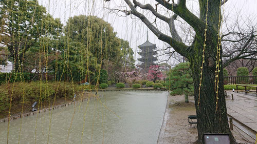 20210302toji.jpg