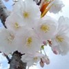 D0792sw3 D0792sw3