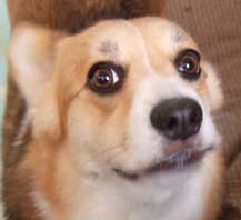 Feucbqzq Feucbqzq